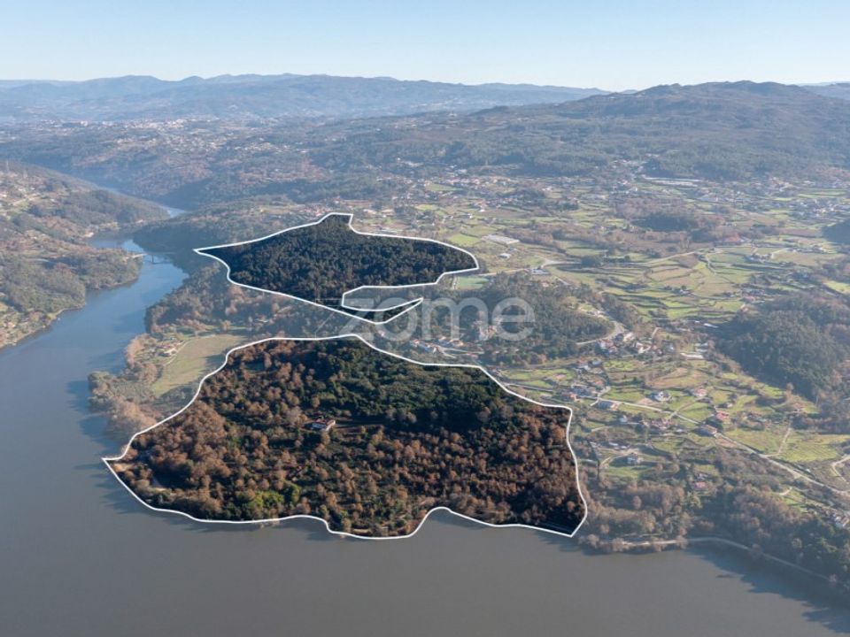 Farm i Marco de Canaveses, Porto - foto 3