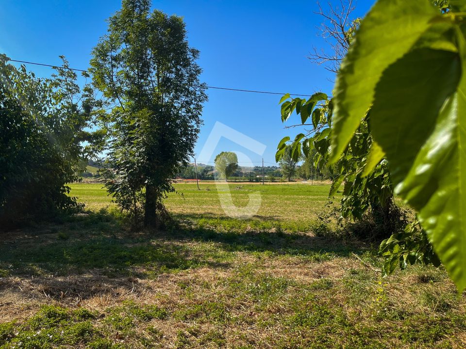 Villa i Senigallia, Ancona - bilde 3