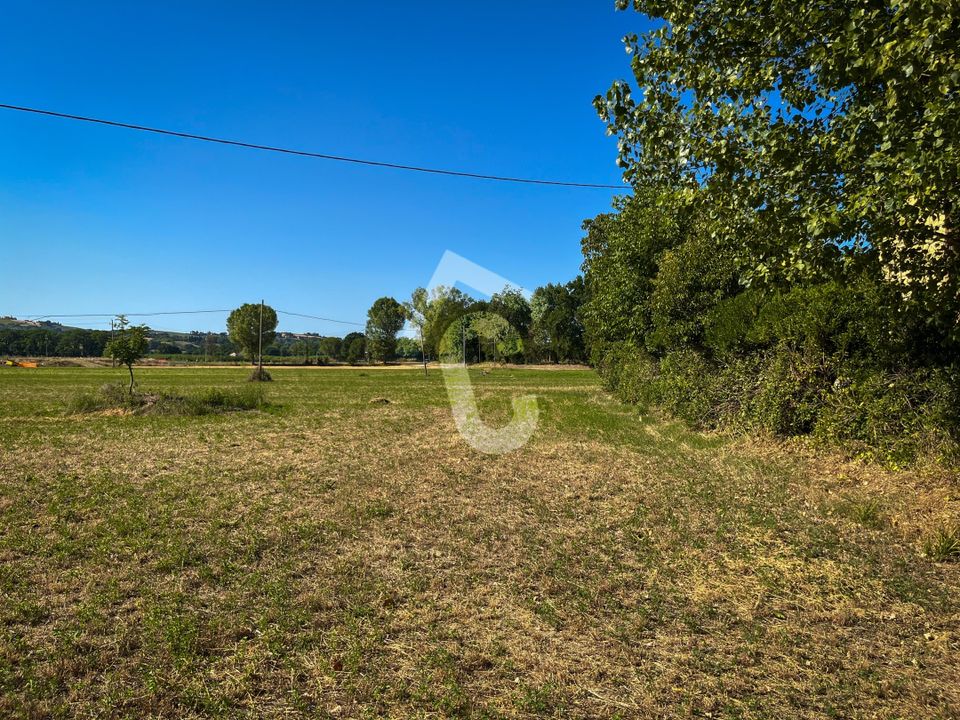 Villa i Senigallia, Ancona - bilde 5