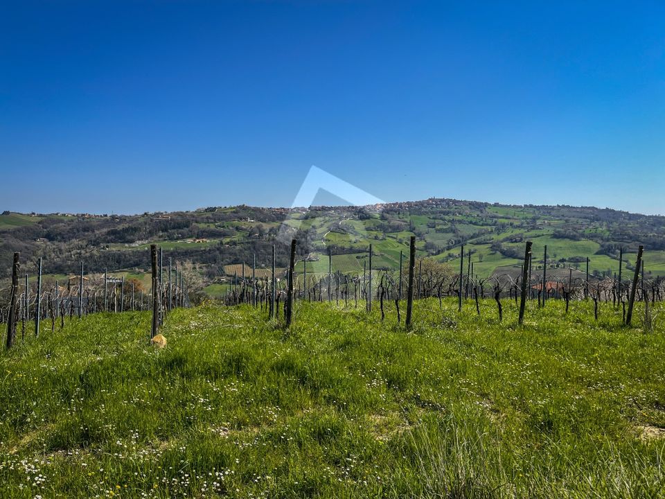 Villa i Serra San Quirico, Ancona - foto 3