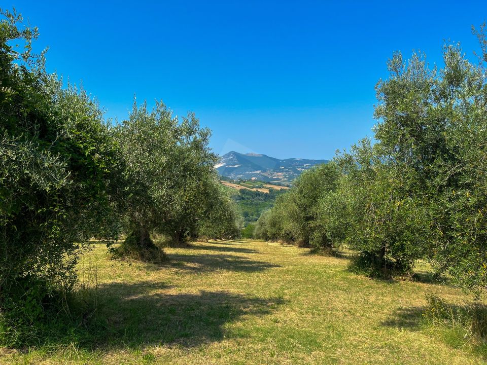 Villa i Maiolati Spontini, Ancona - foto 2