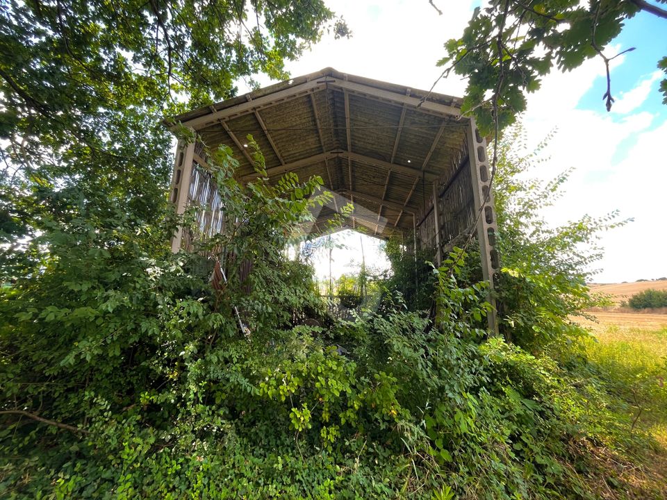 Villa i Monte Roberto, Ancona - foto 4