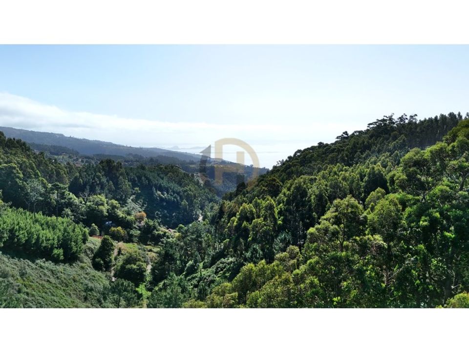 Helårsgrund i Camacha, Madeira - foto 5