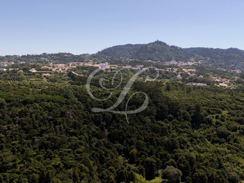 Helårsgrund i Sintra, Lisbon - foto 3