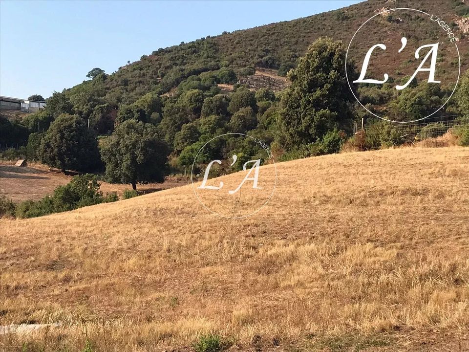 Helårsgrund i Bastelicaccia, Corse-du-Sud - foto 5