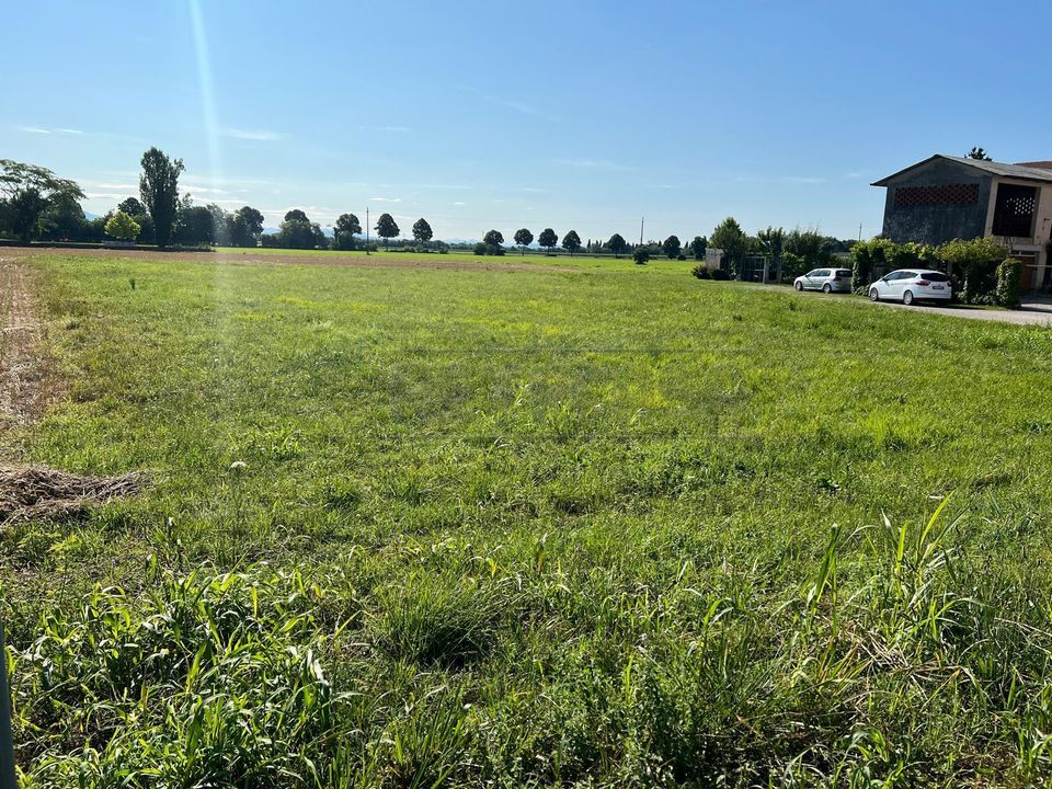 Helårsgrund i Santa Maria la Longa, Udine - foto 1