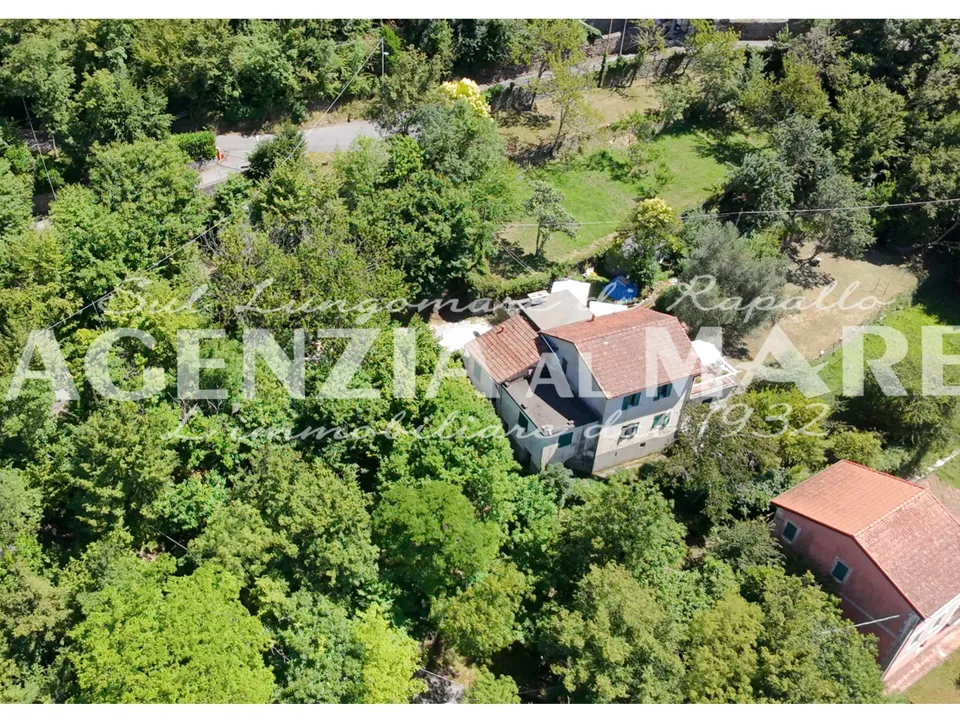 Villa i Rapallo, Genoa - foto 4