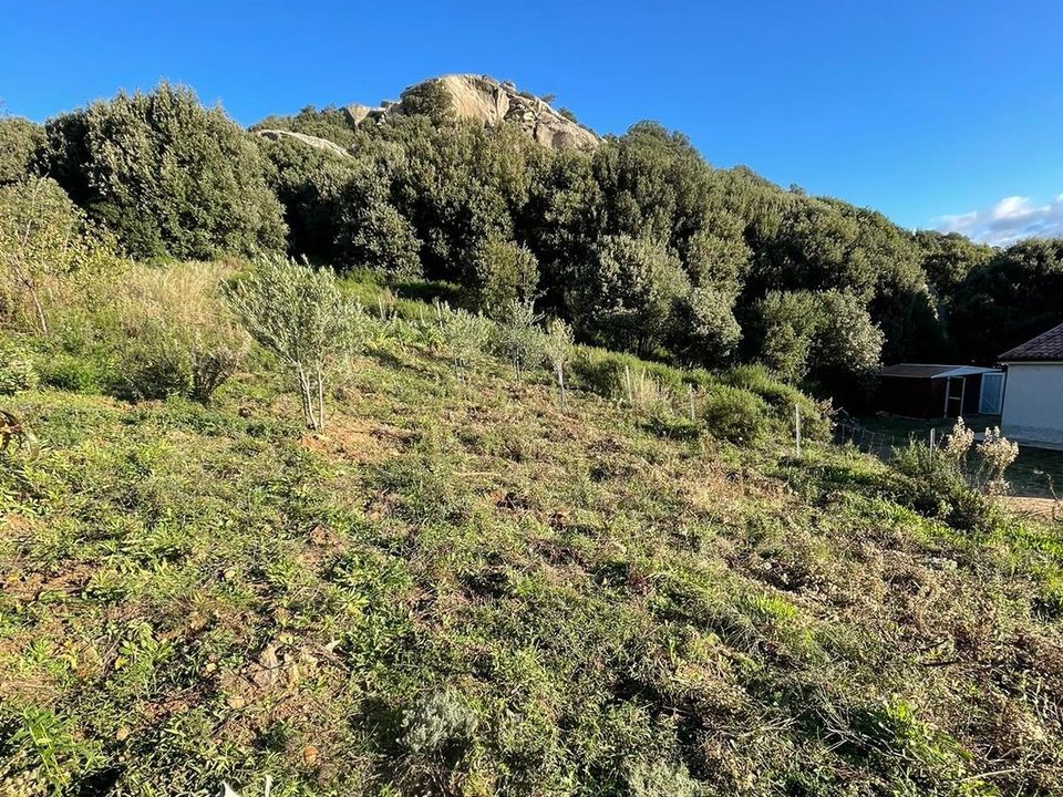 Villa i Luogosanto, Sassari - foto 5