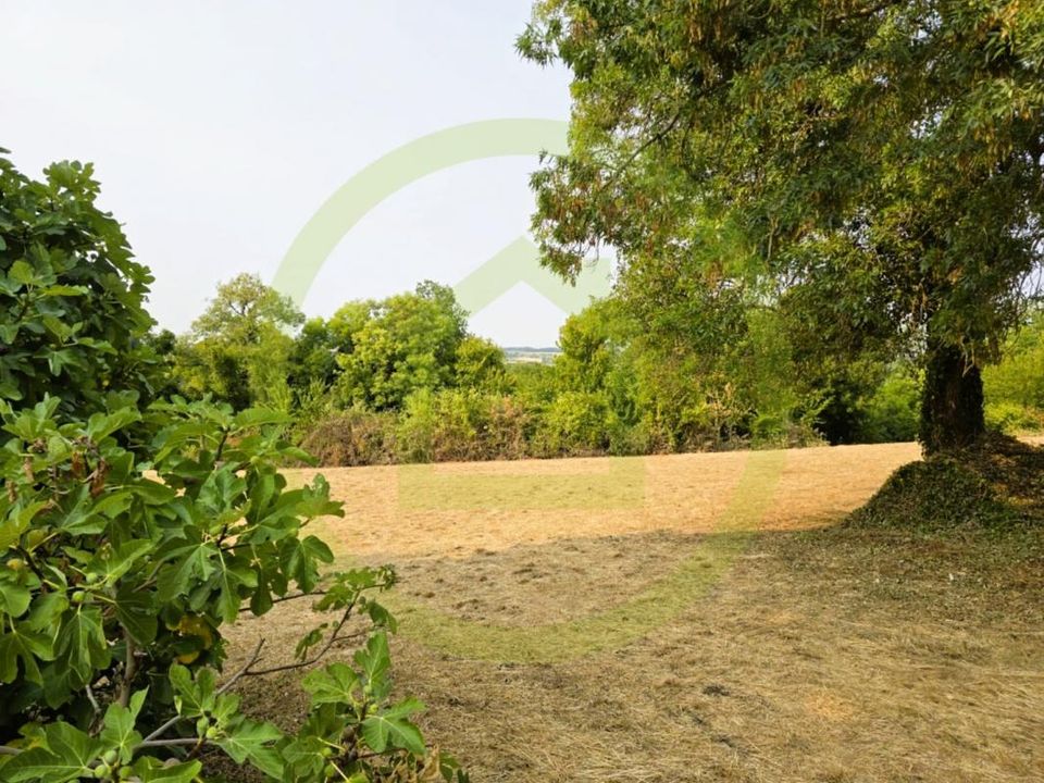 Helårsgrund i Saint-Bonnet-Sur-Gironde, Charente-Maritime - foto 1
