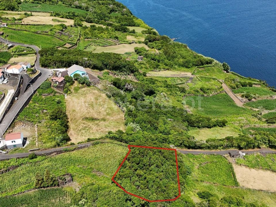Helårsgrund i Lajes do Pico, Pico - foto 3