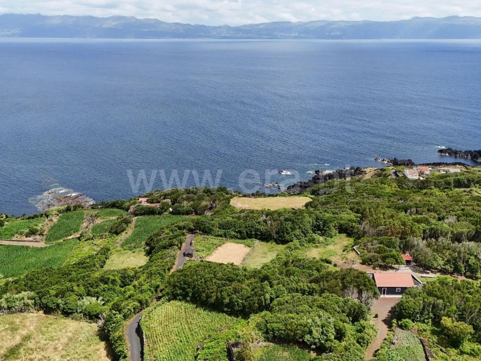 Helårsgrund i Lajes do Pico, Pico - foto 4