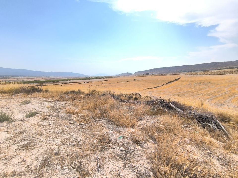 Landejendom i Jumilla, Murcia - foto 1