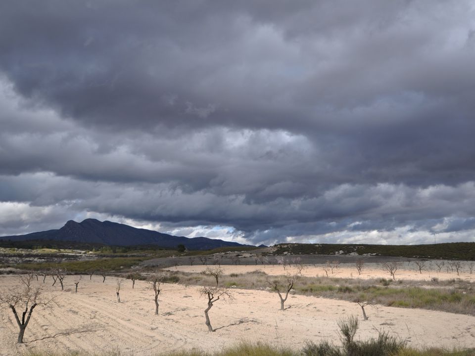 Landejendom i Jumilla, Murcia - foto 5