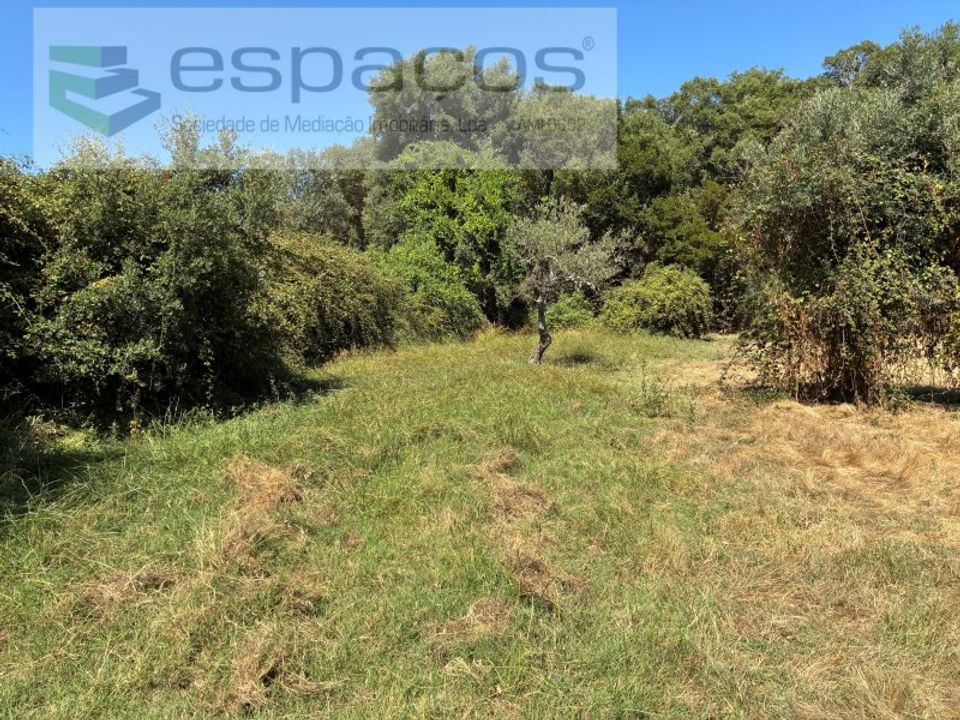 Helårsgrund i Fundao, Castelo Branco - foto 4