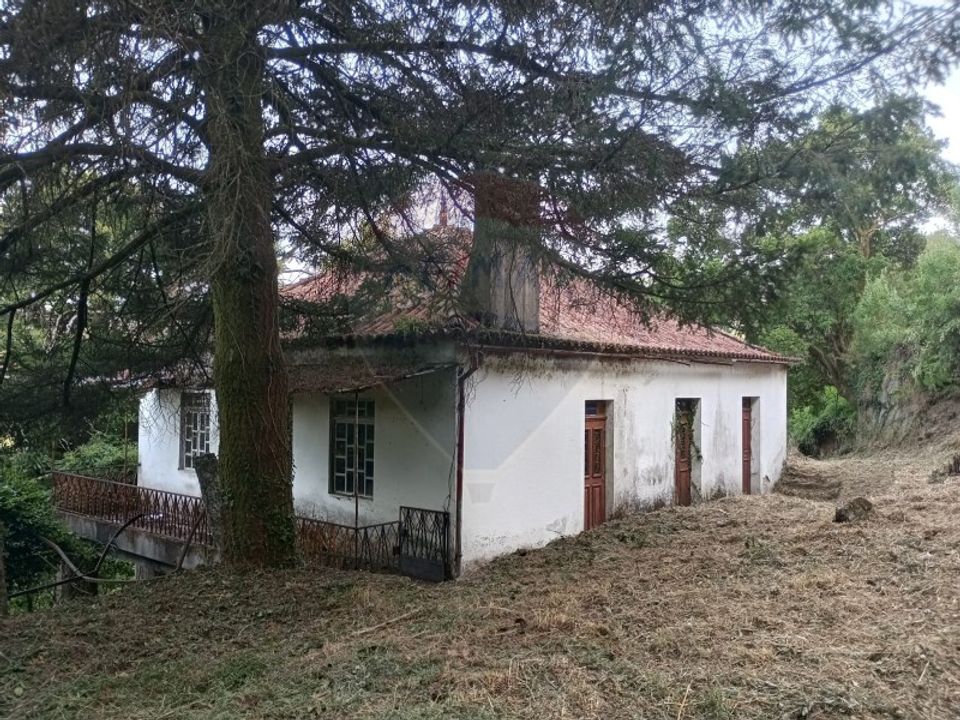 Farm i Arcos de Valdevez, Viana do Castelo - foto 1