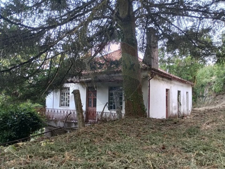 Farm i Arcos de Valdevez, Viana do Castelo - foto 2