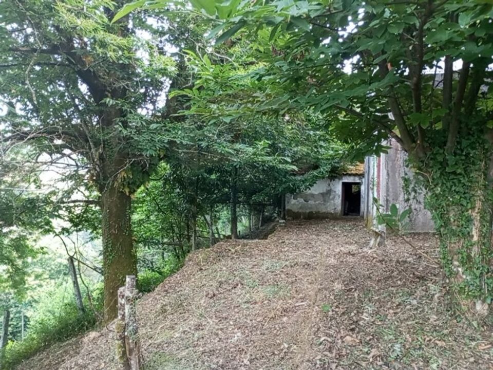 Farm i Arcos de Valdevez, Viana do Castelo - foto 5