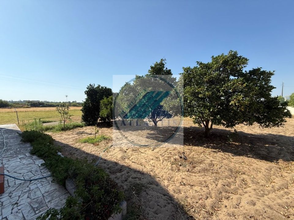 Granja a Moita, Setubal - foto 5