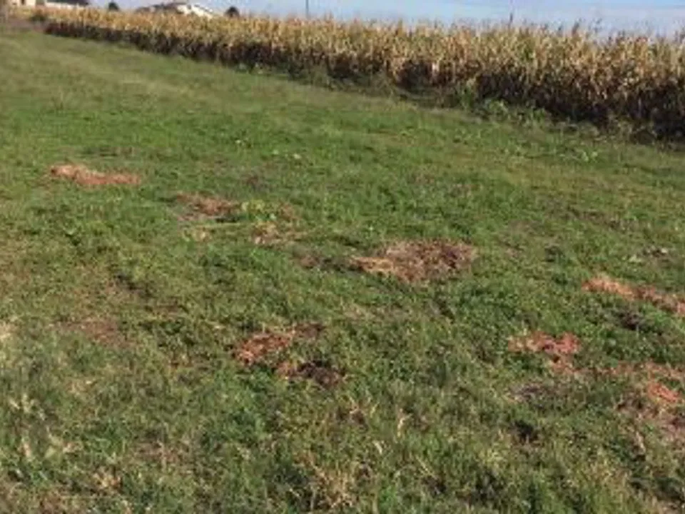 Terreno en Villata, Vercelli - foto 1