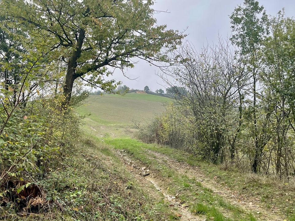 Erhvervsejendom i Parma, Parma - foto 1