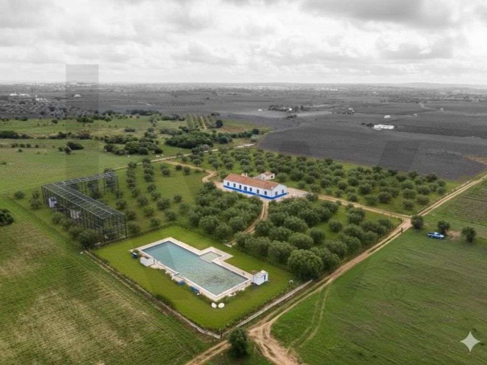 Farm i Reguengos de Monsaraz, Evora - foto 5
