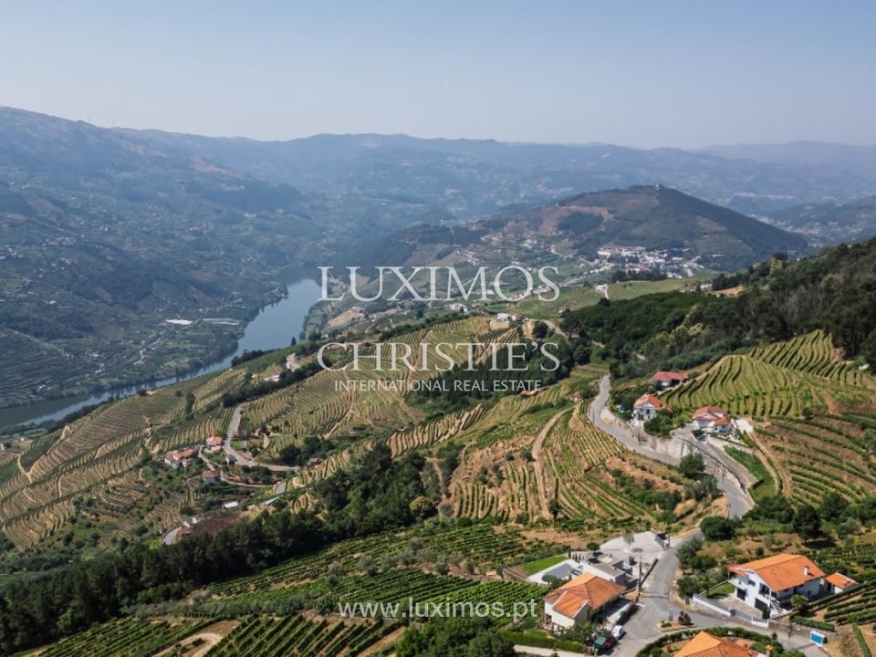 Farm i Mesao Frio, Vila Real - foto 3