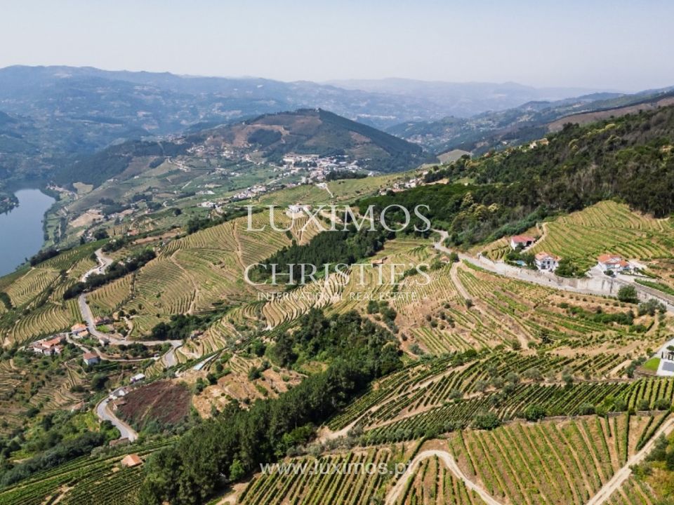 Farm i Mesao Frio, Vila Real - foto 4