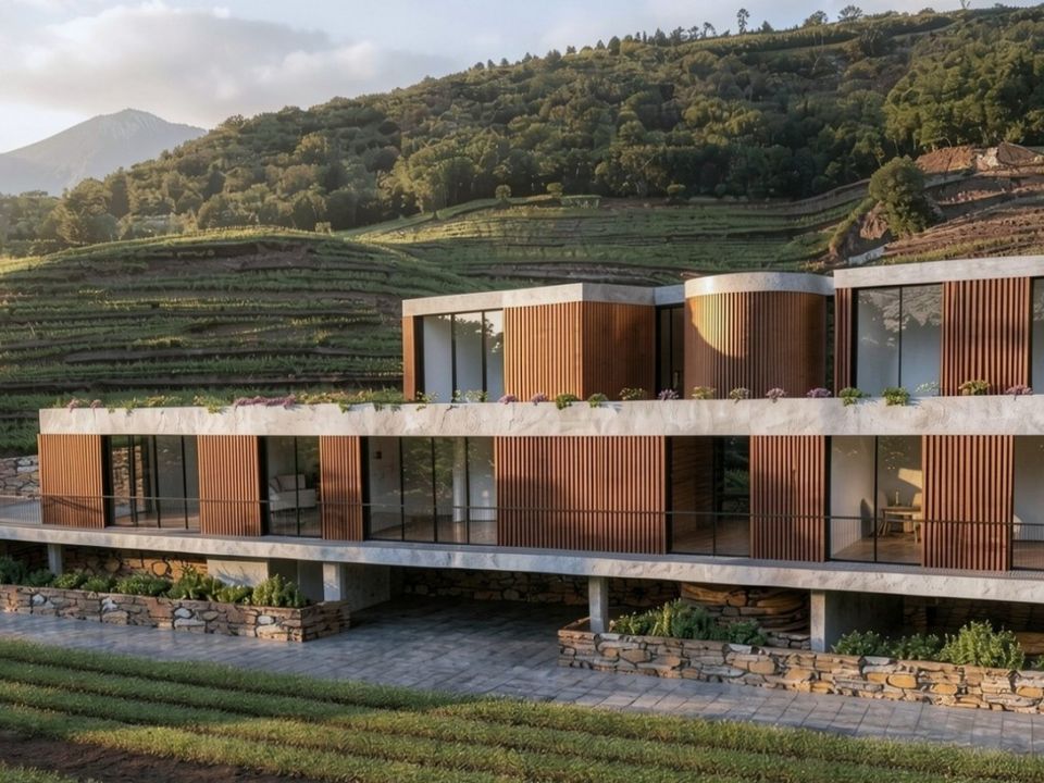 Farm i Mesao Frio, Vila Real - foto 2