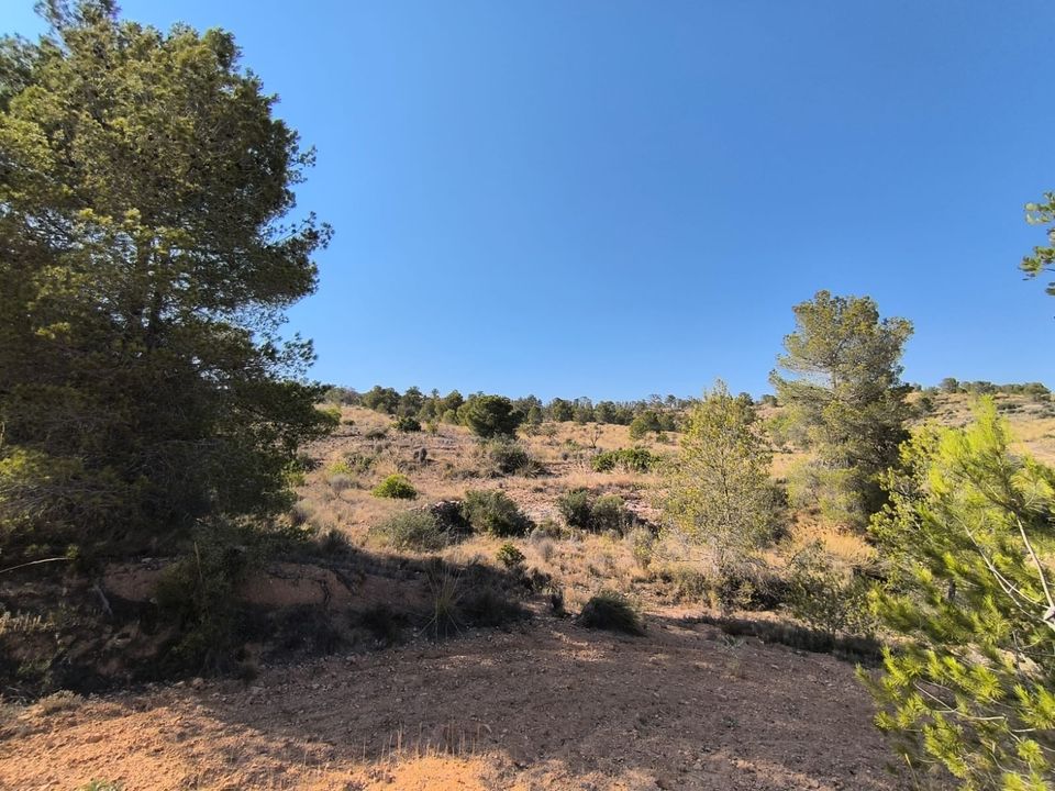Helårsgrund i La Romana, Alicante - foto 4