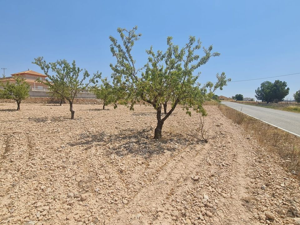 Helårsgrund i Jumilla, Murcia - foto 1