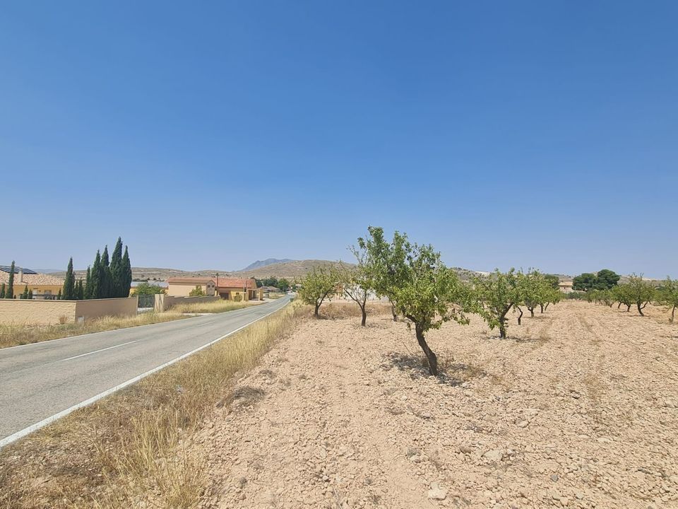 Helårsgrund i Jumilla, Murcia - foto 2