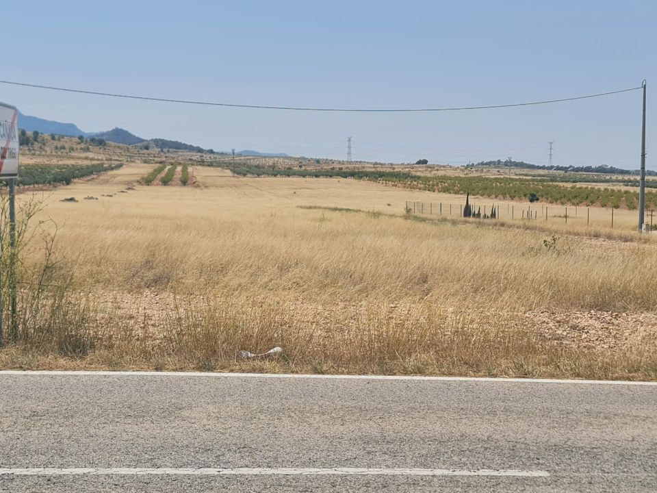 Helårsgrund i Jumilla, Murcia - foto 3
