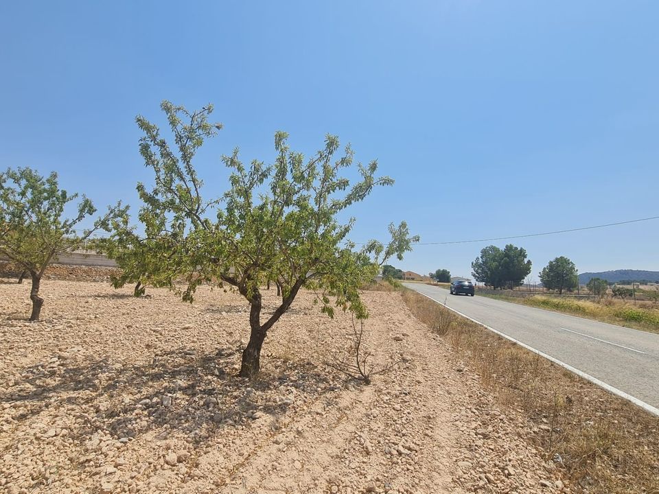 Helårsgrund i Jumilla, Murcia - foto 5