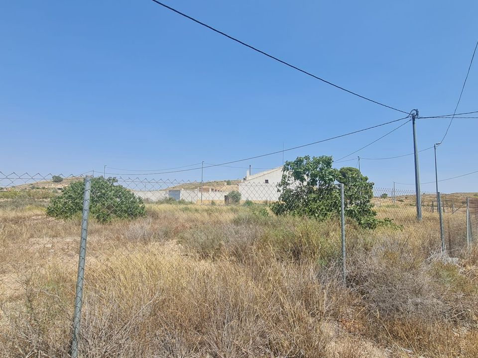 Tomt i Canada Del Trigo, Alicante - bilde 5