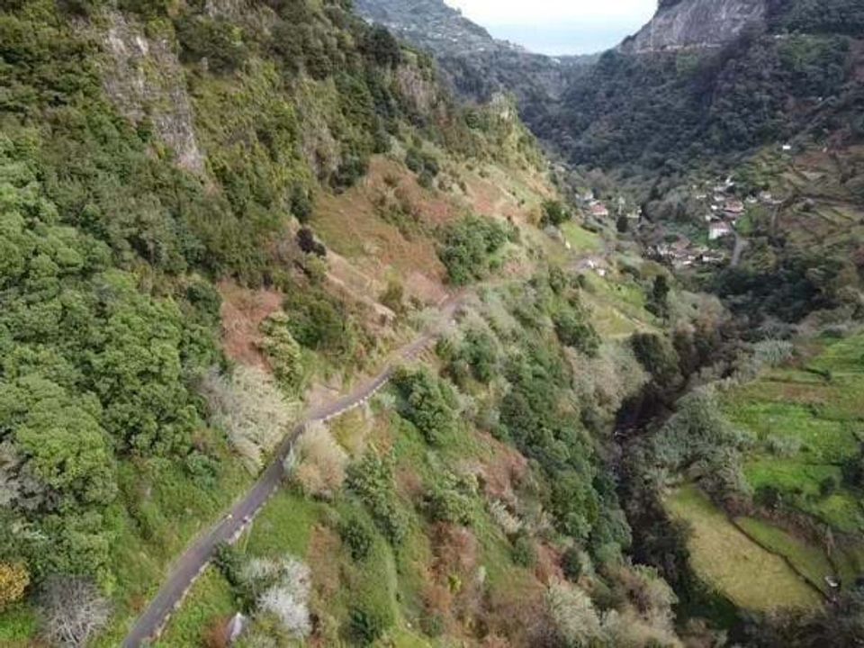 Terra a Santana, Madeira - foto 3