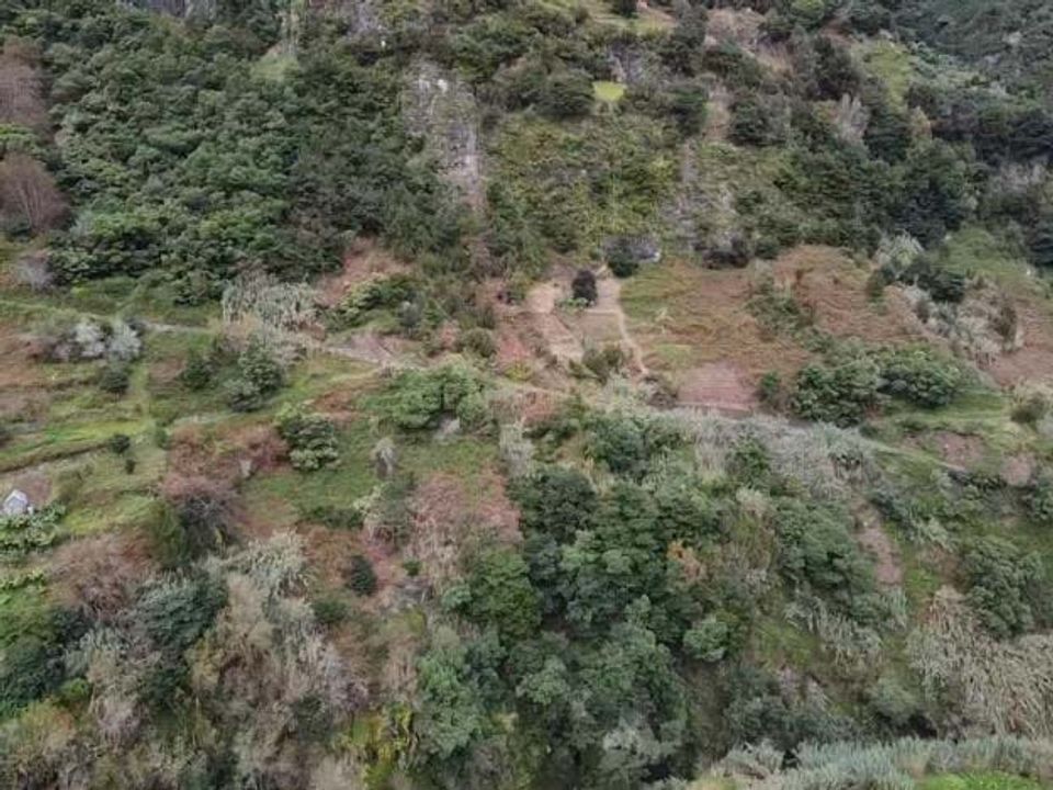 Terra a Santana, Madeira - foto 5