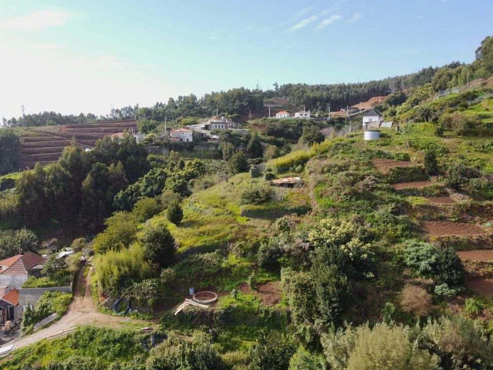 Helårsgrund i Santa Cruz, Madeira - foto 4