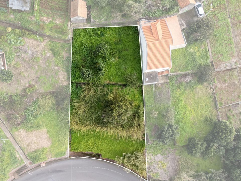 Helårsgrund i Calheta, Madeira - foto 4