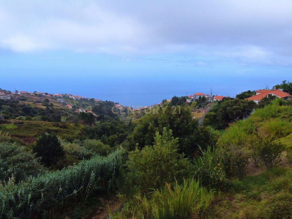 Helårsgrund i Calheta, Madeira - foto 1