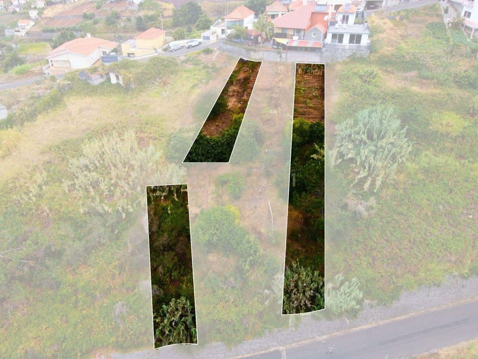 Helårsgrund i Calheta, Madeira - foto 3