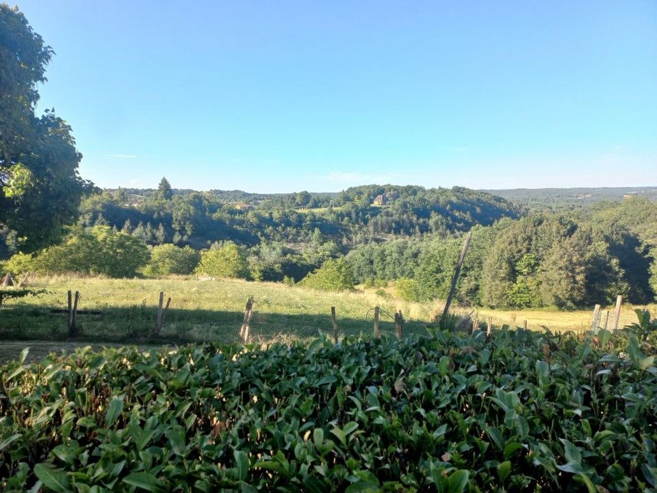 L'establiment comercial a Rouffignac-Saint-Cernin-de-Reilhac, Dordogne - foto 3