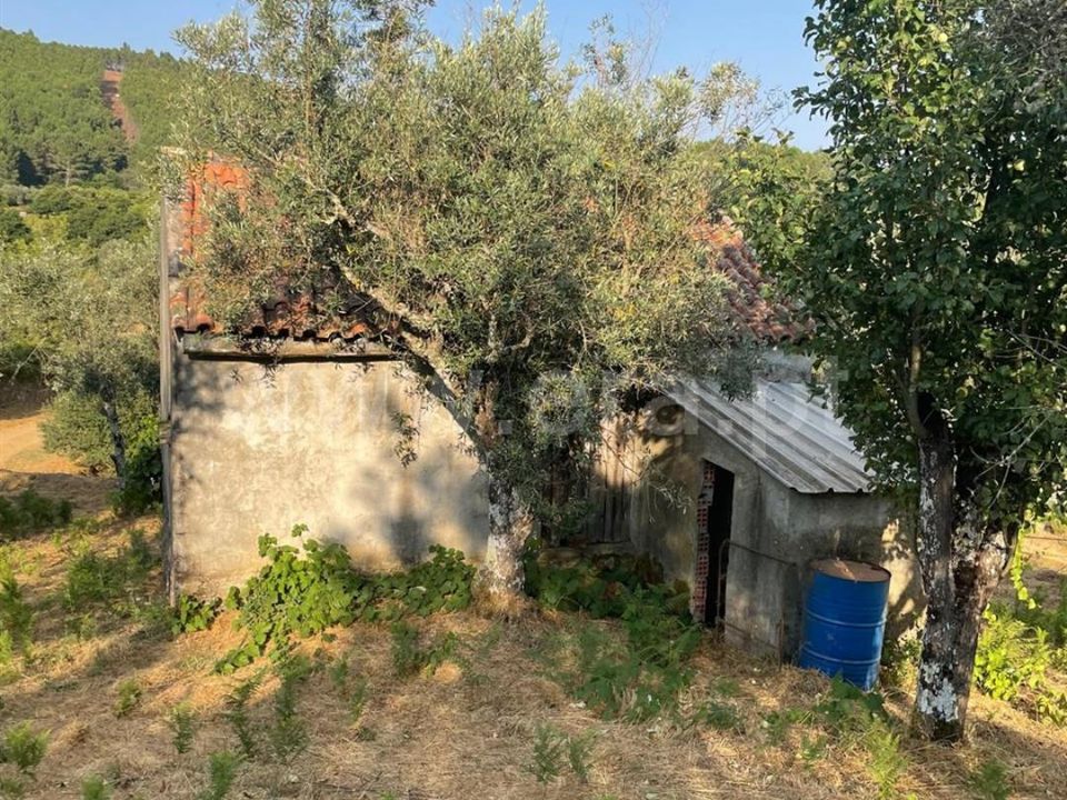 Helårsgrund i Covilha, Castelo Branco - foto 4