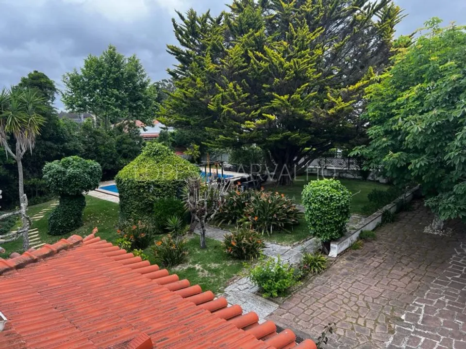 Farm i Sintra, Lisbon - foto 1