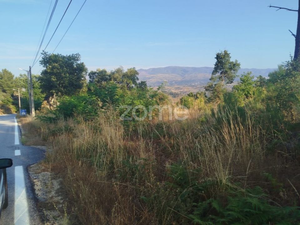 Helårsgrund i Abrunhosa-a-Velha, Viseu - foto 1
