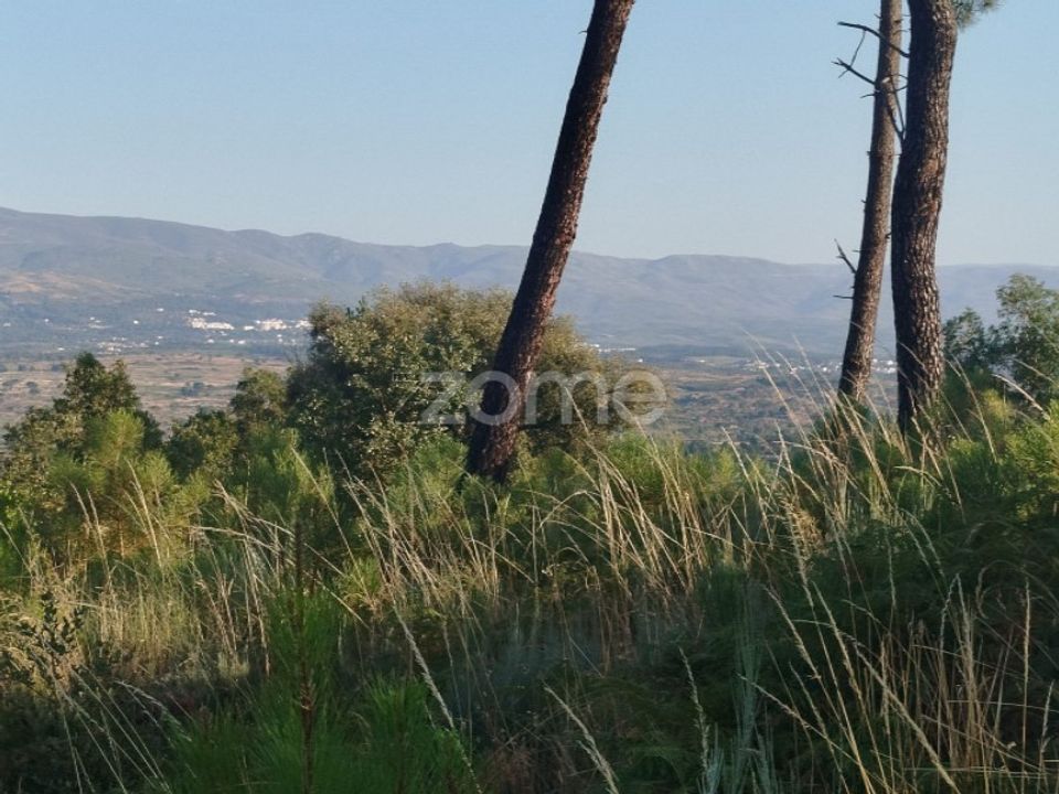 Helårsgrund i Abrunhosa-a-Velha, Viseu - foto 2