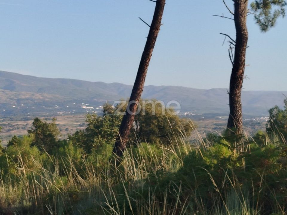 Helårsgrund i Abrunhosa-a-Velha, Viseu - foto 3