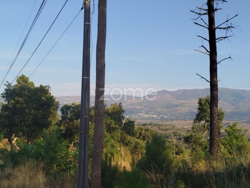Helårsgrund i Abrunhosa-a-Velha, Viseu - foto 4