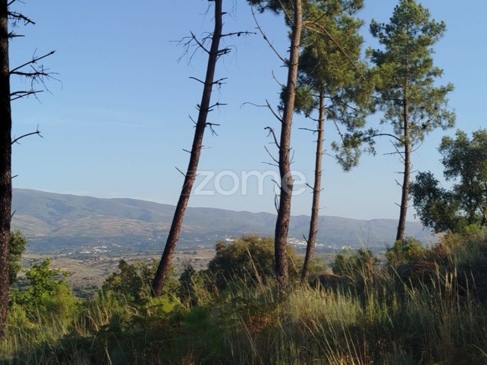 Helårsgrund i Abrunhosa-a-Velha, Viseu - foto 5