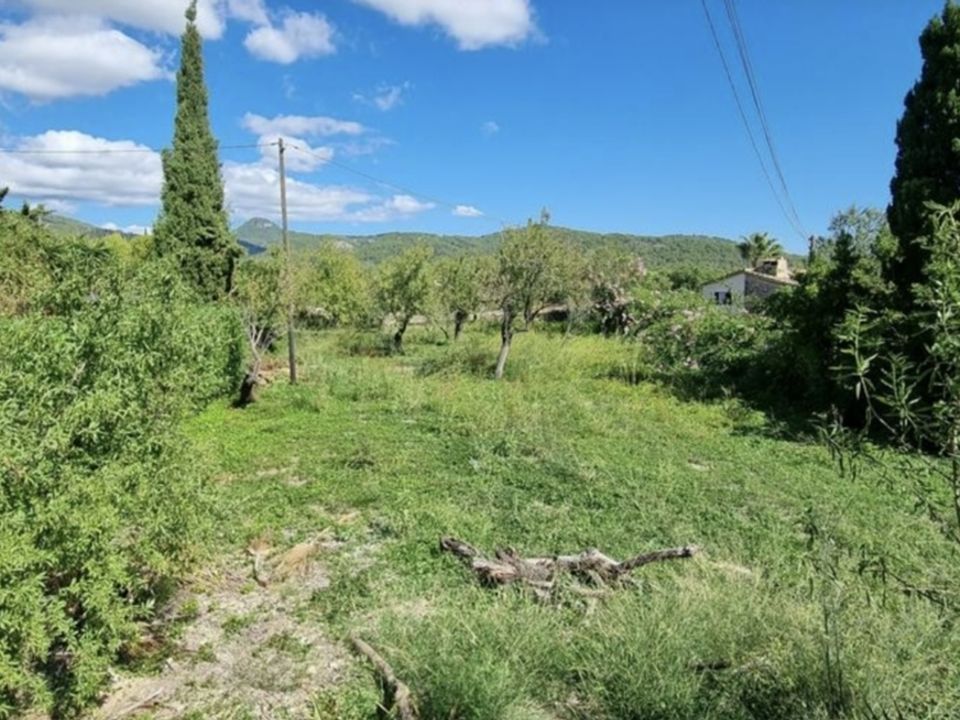 Terra a Calvia, Mallorca - foto 4