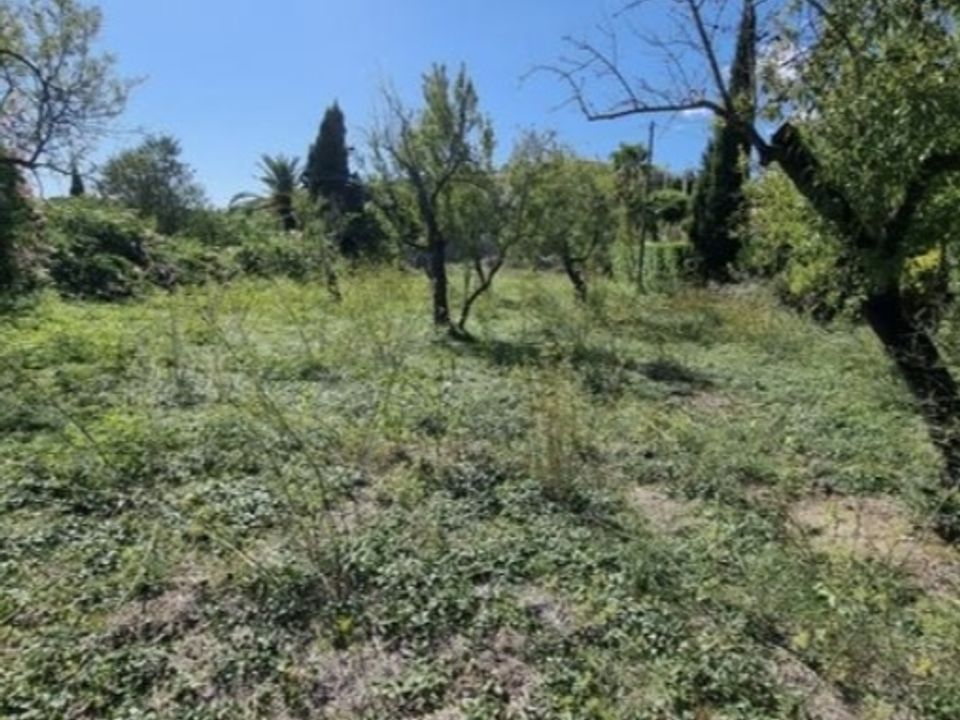 Terra a Calvia, Mallorca - foto 5
